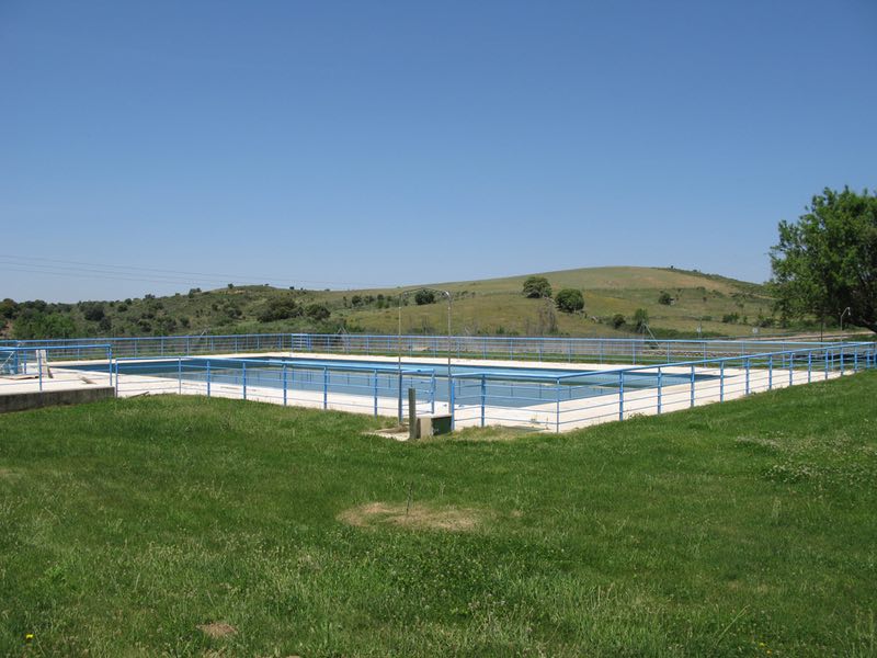 Piscina rodeada de hierba verde